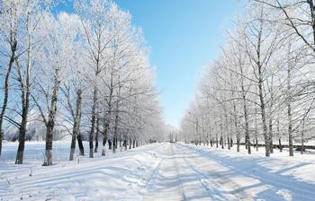 雪地