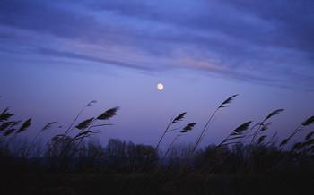 夜晚 黑夜