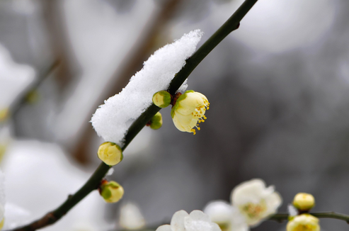 冰雪融化