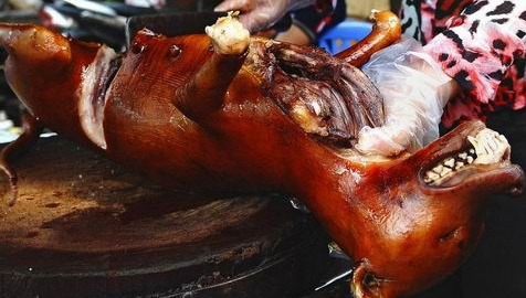 孕妇吃狗肉