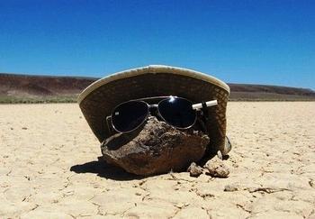 死人复活又死了