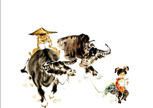 放牛