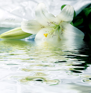 水中飘浮