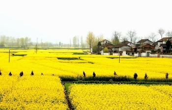 时间季节突变