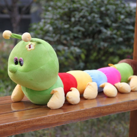 虫 毛毛虫