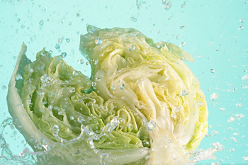 洗白菜