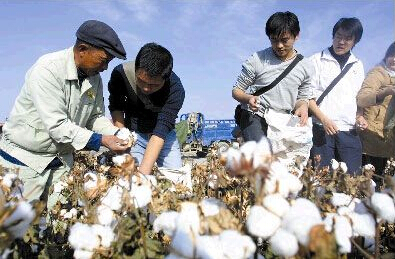摘棉花Ⅰ