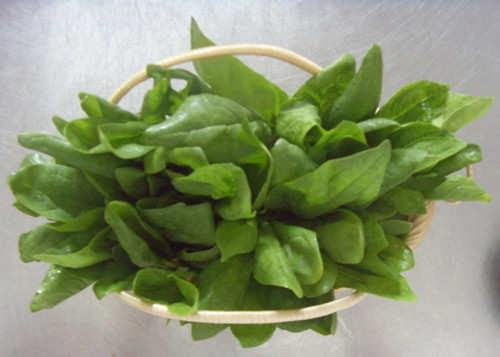 菠菜