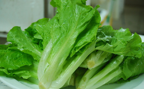 生菜