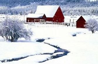 吃雪