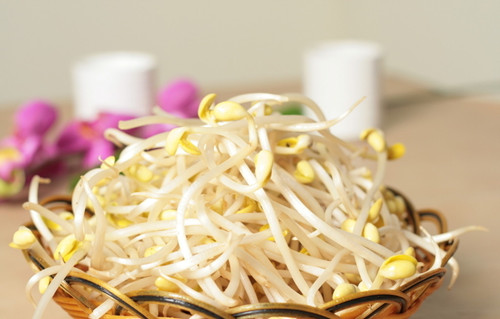 豆芽