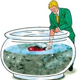 掉进浑水里