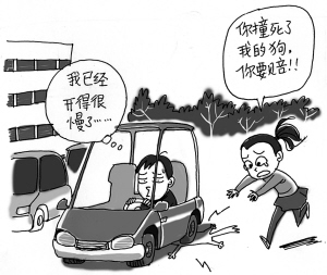 被车撞