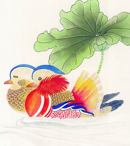 孕妇鸳鸯