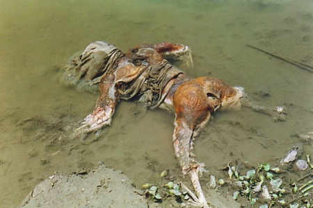 死者